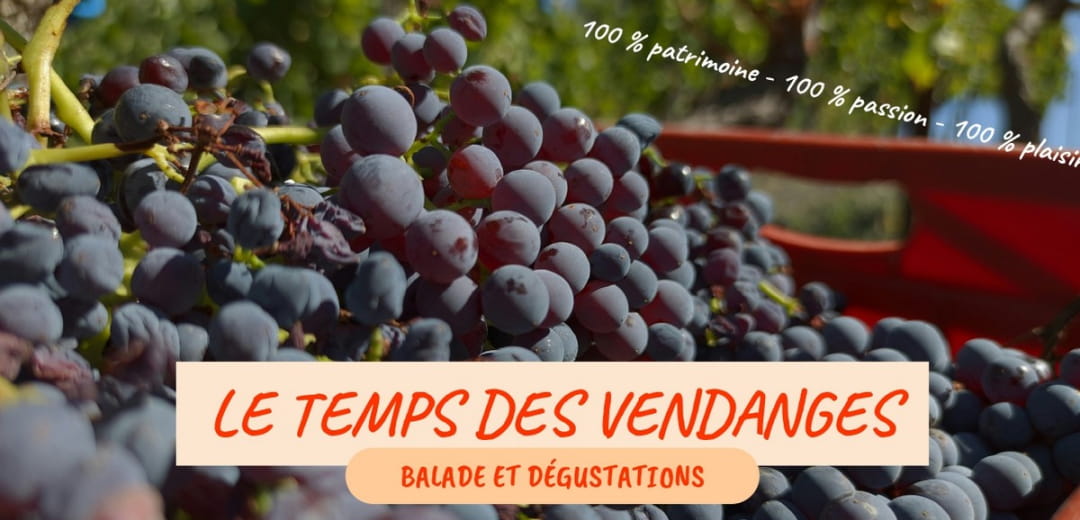 LE TEMPS DES VENDANGES Le 20 sept 2024